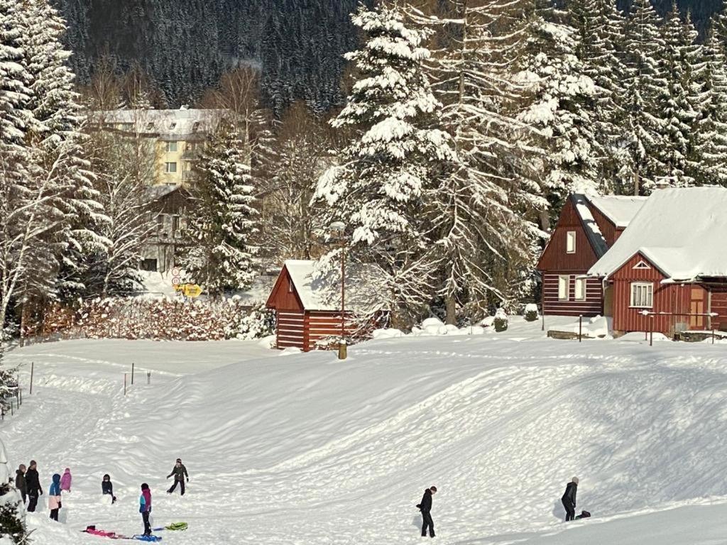 Spirit Harrachov Superior Wellness Apartments - Free Wellness, Wifi, Parking, Harrachov Card 외부 사진